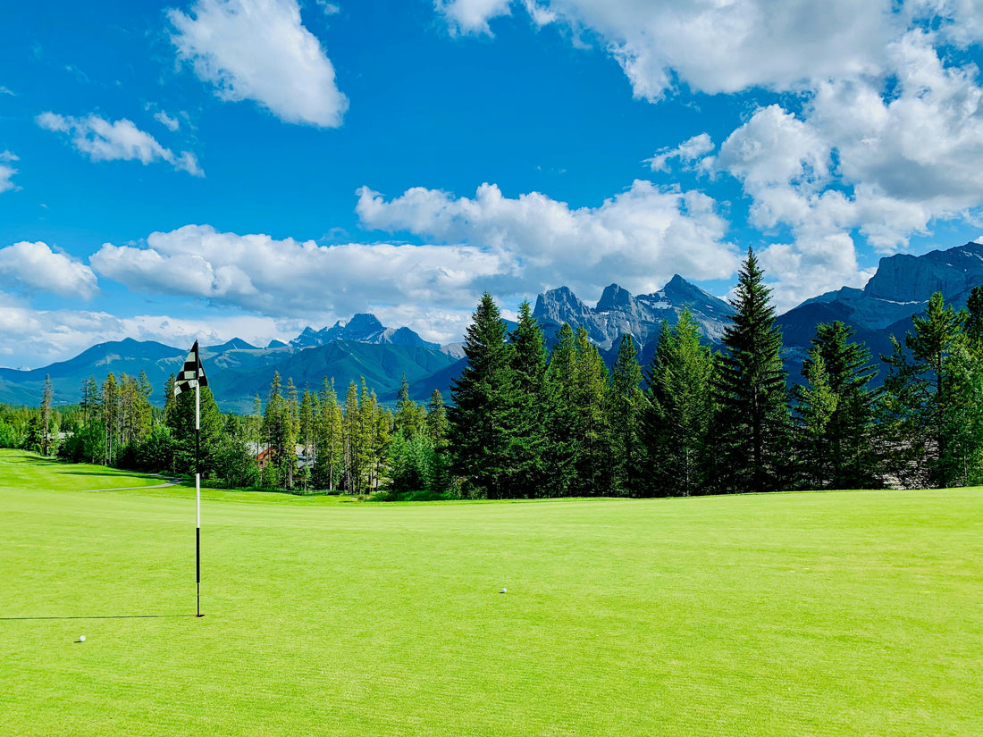 Backyard Golf Putting Green