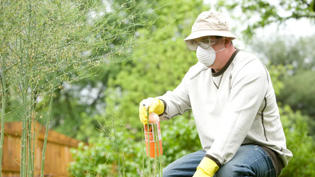 Essential Guide to Golf Fertilizer for Healthy Turf Management