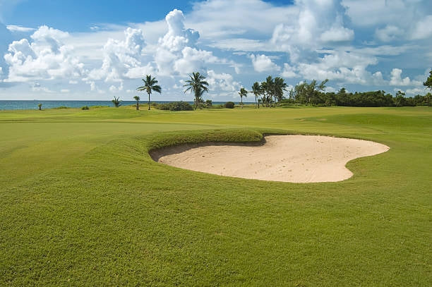 Understanding Golf Bunkers