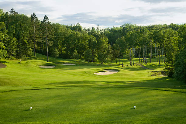 Mastering Golf Course Agronomy and Maintenance